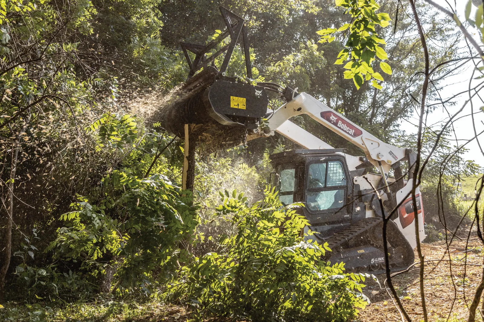 Skid steer with a forestry mulcher clearing brush on Oregon land